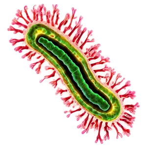 Bacteria Microbiology PNG 68 PNG