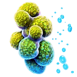Bacteria Microorganisms PNG 70