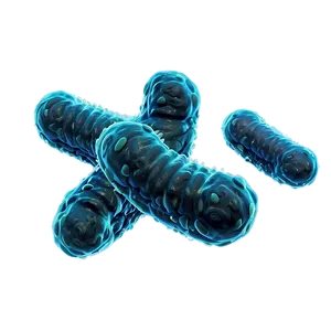 Bacteria Microorganisms PNG Pjn25 PNG