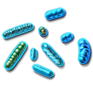 Bacteria Science PNG Mdy