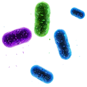 Bacteria Transparent Background PNG 05242024