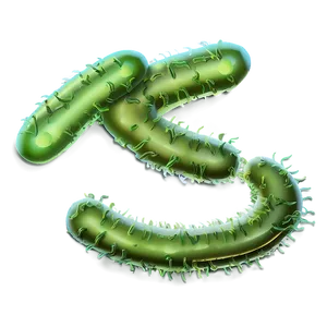 Bacteria Zoom PNG 05242024 PNG