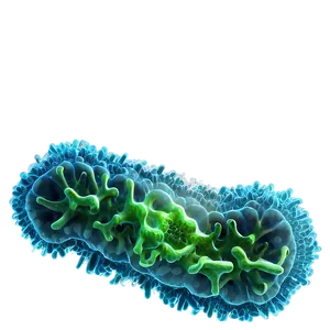 Bacteria Zoom Png 71 PNG image