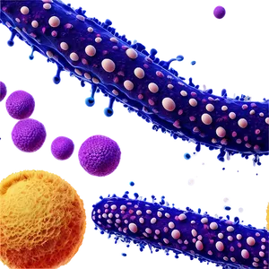 Bacterial Cells Graphic Png 81 PNG image