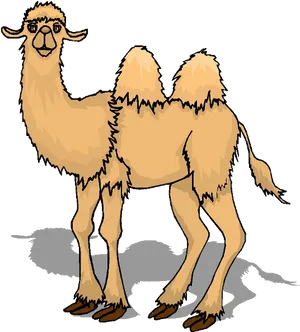 Bactrian Camel Cartoon Illustration