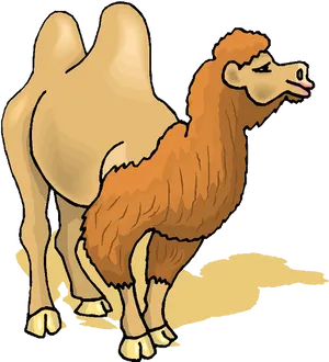 Bactrian Camel Illustration.png