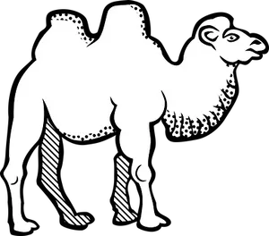 Bactrian Camel Silhouette