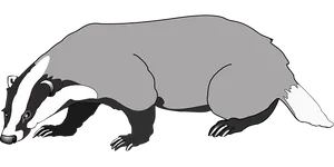 Badger_ Vector_ Graphic