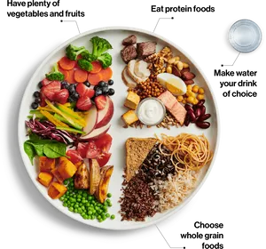 Balanced Diet Plate Guide PNG image