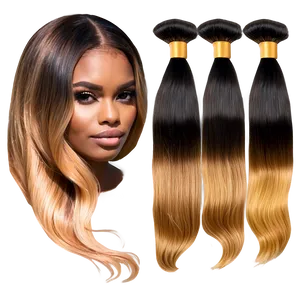 Balayage Hair Bundles PNG Dgs70 PNG