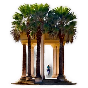 Balboa Park San Diego PNG Myo93