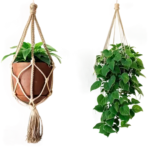 Balcony Hanging Plant PNG Fqm PNG