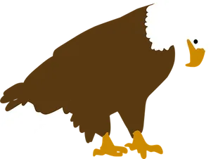 Bald Eagle Silhouette