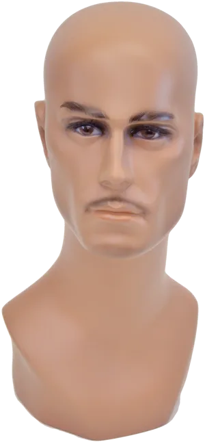 Bald Male Mannequin Head
