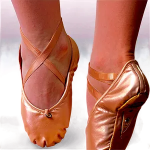 Ballet Training Shoes Png Cgw PNG image