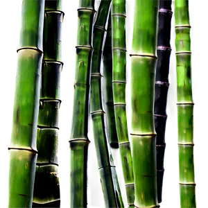 Bamboo Forest Background Png 05232024 PNG image