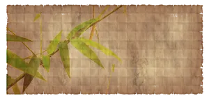 Bamboo Leaves Aged Paper Texture PNG image