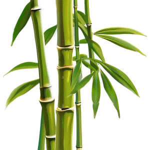 Bamboo Leaves Png 65 PNG image