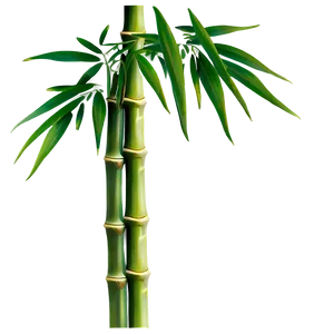 Bamboo Leaves PNG Flc32