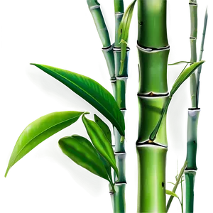 Bamboo Leaves Png Rir PNG image