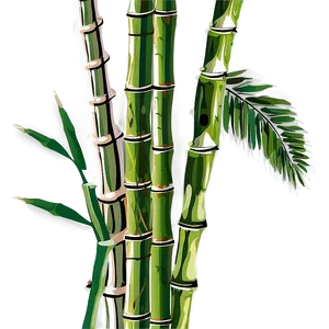 Bamboo Stalks Vector Png 05232024 PNG image