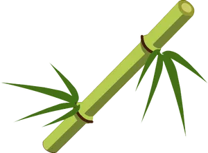 Bamboo Stick Illustration PNG image