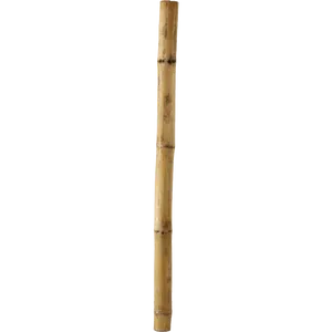 Bamboo Stick Isolatedon Black PNG image