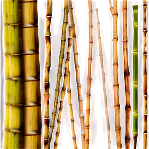 Bamboo Sticks Png Vko95 PNG image