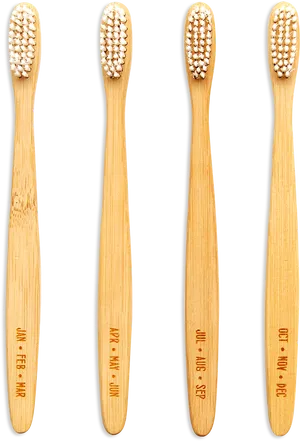 Bamboo Toothbrushes Set