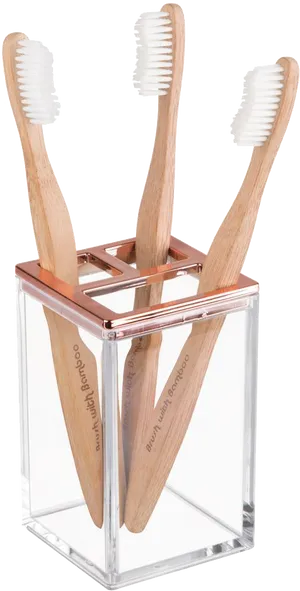 Bamboo Toothbrushesin Holder PNG image