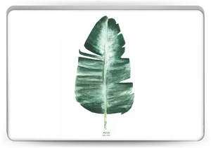 Banana Leaf Artwork PNG image