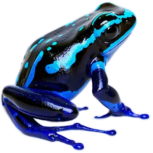 Banded Poison Dart Frog PNG 06132024 PNG