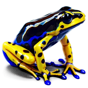 Banded Poison Dart Frog PNG Ksp34 PNG