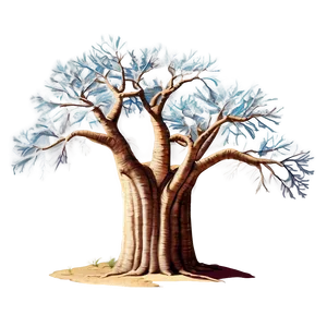 Baobab Tree Drawing PNG 82