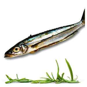 Barbecue Sardines Png Dxe91 PNG image