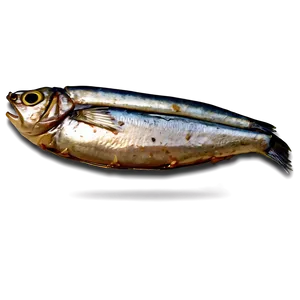 Barbecue Sardines PNG Nbe5 PNG