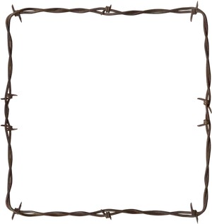 Barbed Wire Frame Border PNG