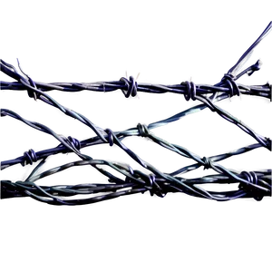 Barbwire Wrapped Object PNG Avh6 PNG