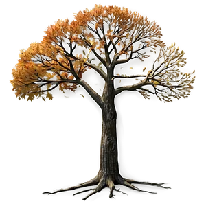 Bare Autumn Tree Png 73 PNG image