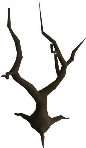 Bare Branches Against Sky PNG
