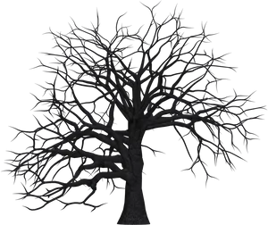 Bare Branches Silhouette PNG