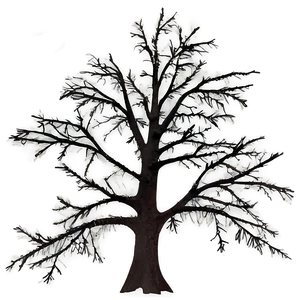 Bare Tree At Night PNG Dkr