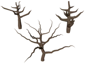 Bare Tree Branches3 D Render