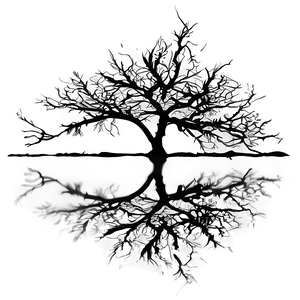 Bare Tree Reflection PNG Kbf