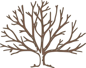 Bare Tree Silhouette