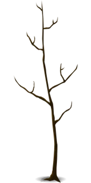 Bare Tree Silhouette Against Dark Background