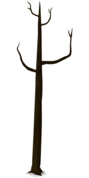 Bare Tree Silhouette Against Dark Background