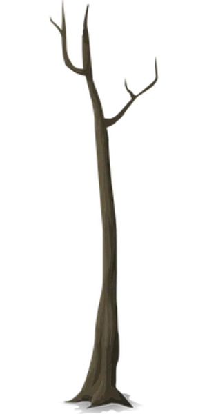 Bare Tree Silhouette
