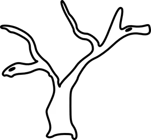 Bare Tree Trunk Drawing