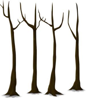 Bare Trees Against Dark Background